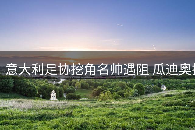意大利足协挖角名帅遇阻 瓜迪奥拉婉拒后转攻安切洛蒂