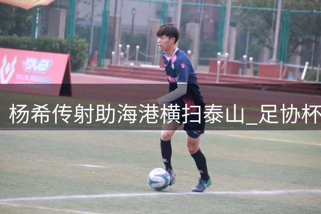 杨希传射助海港横扫泰山 足协杯半决赛席位到手
